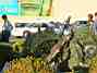 im3_0088